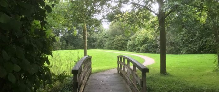 Zo teer zo kwetsbaar en zo stoer