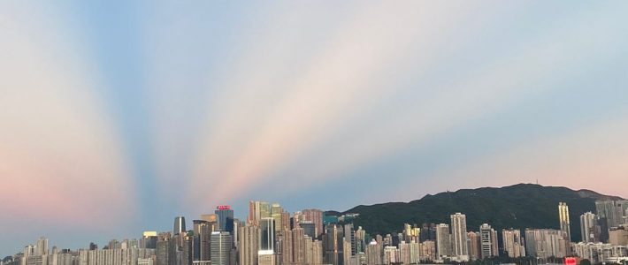 Ik heb een pony voor je