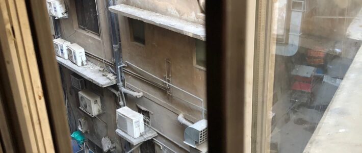 Kakkerlakken in Delhi